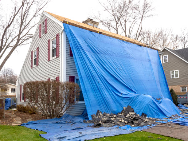 Best Same-Day Junk Removal Services  in Shelburn, IN