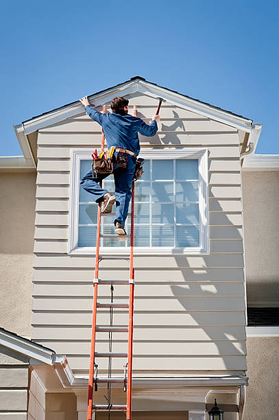 Best Demolition Debris Removal  in Shelburn, IN